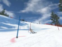 Ski Racing 2006 - Featuring Hermann Maier screenshot #17