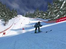 Ski Racing 2006 - Featuring Hermann Maier screenshot #4