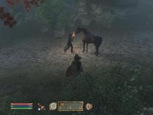 Elder Scrolls IV, The: Oblivion screenshot #11
