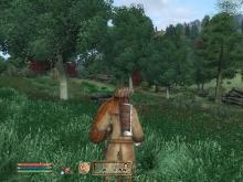 Elder Scrolls IV, The: Oblivion screenshot #8