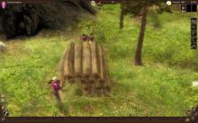 Guild 2, The screenshot #16