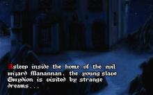 King's Quest III: To Heir Is Human screenshot #2