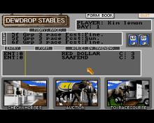 Stable Masters screenshot #2