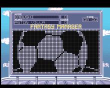 Fantasy Manager: The Computer Game screenshot #10